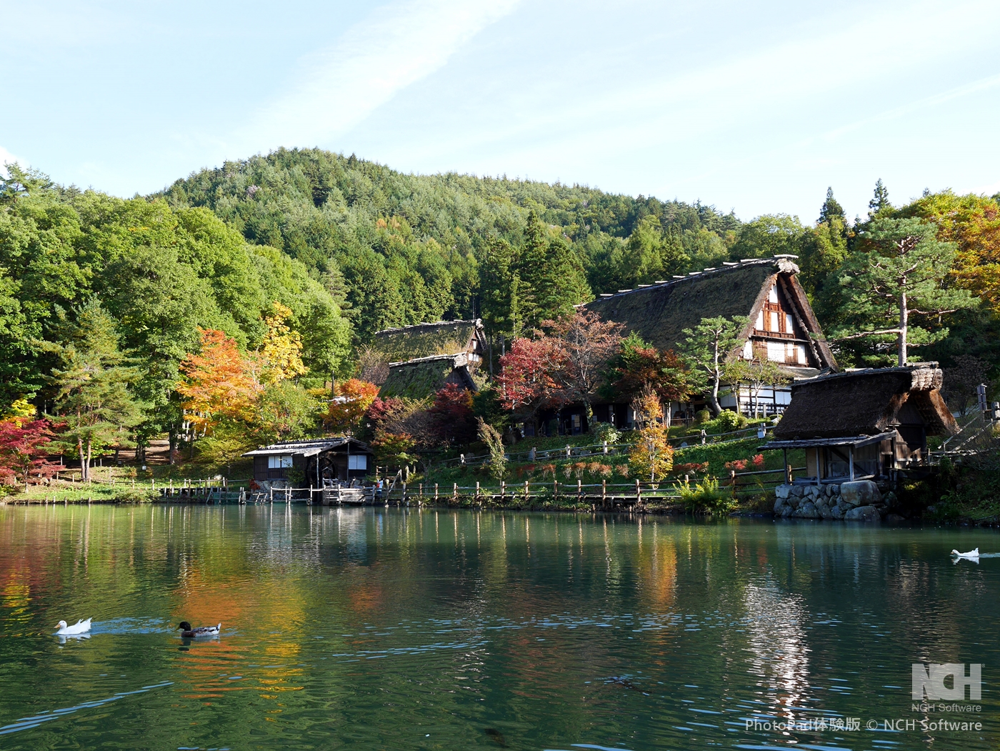 特急ひだ_飛騨の里