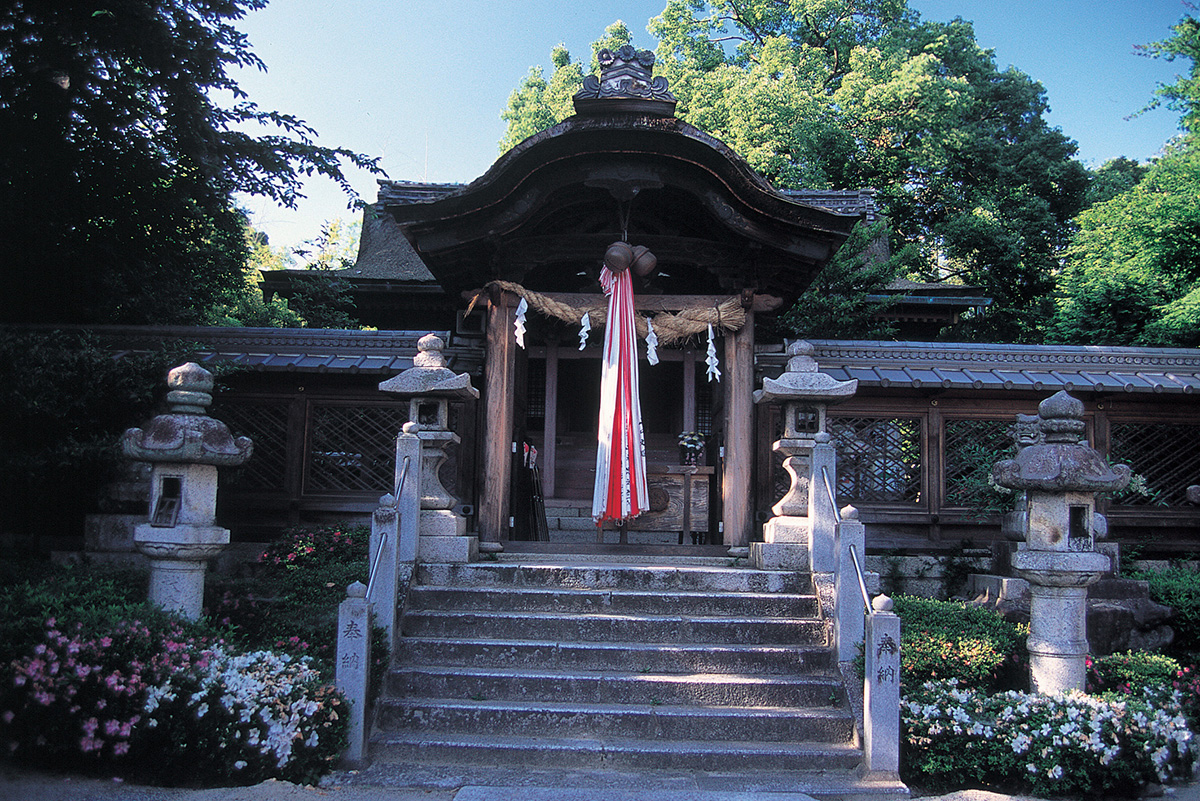 老杉神社（おいすぎじんじゃ）