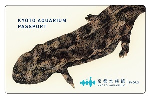 京都水族館特典１