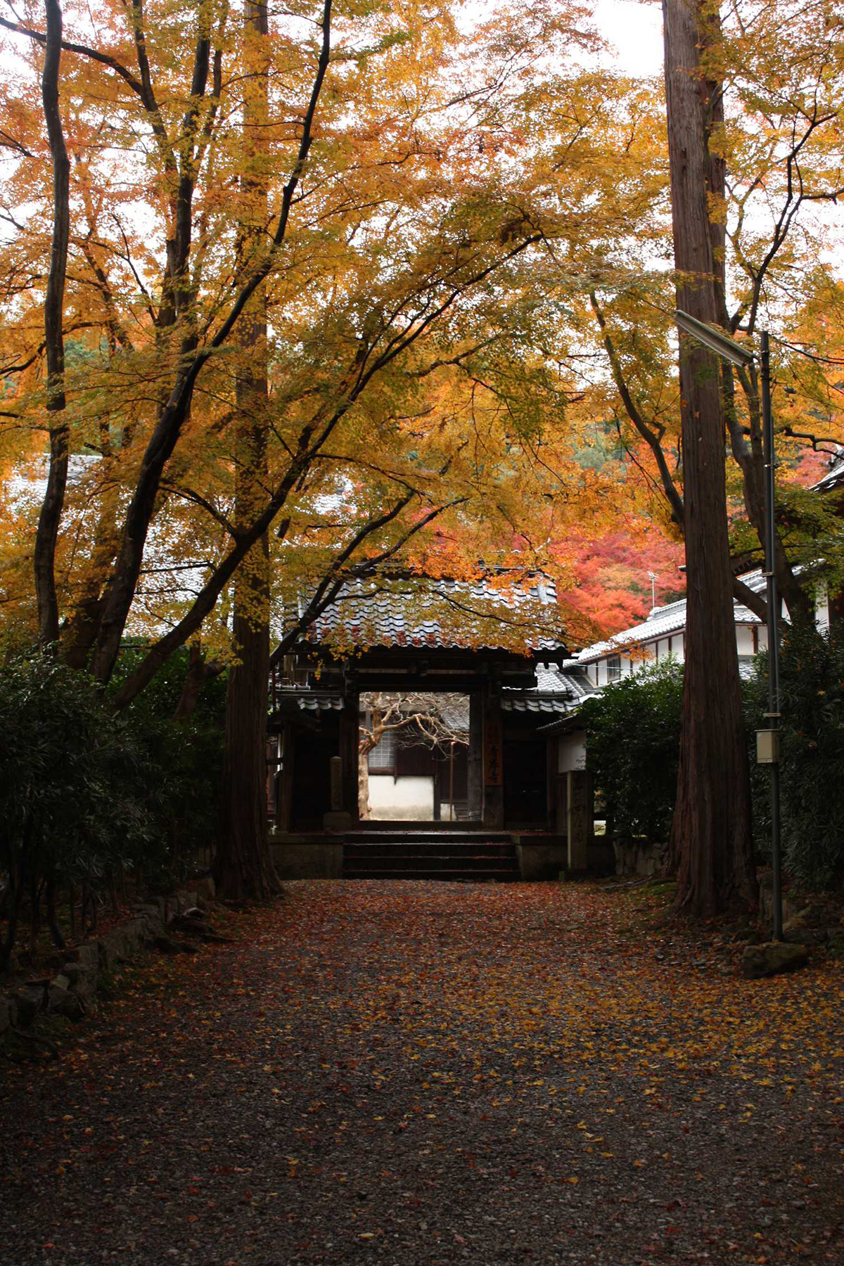 青岸寺